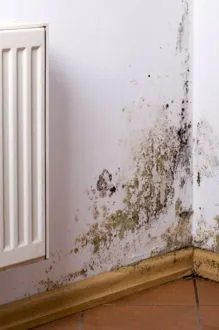 Humedad por Capilaridad